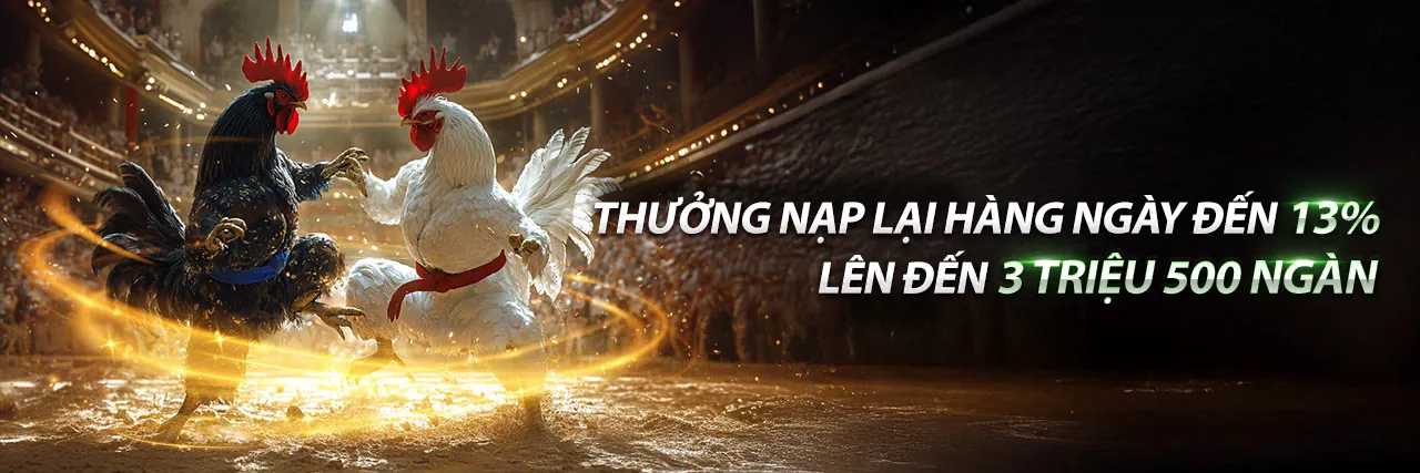 Đá gà trực tuyến kịch tính tại 888new chính thức