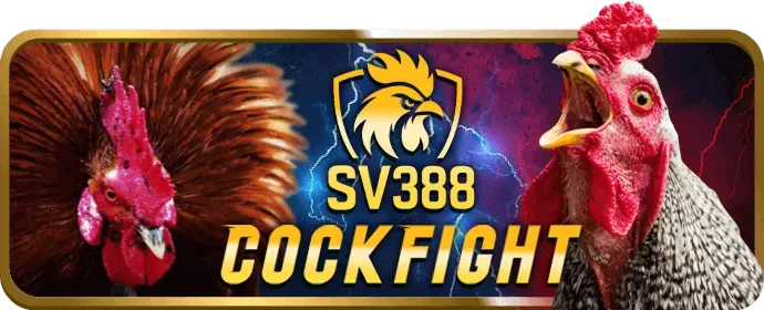 Trải nghiệm giải trí 888new chính thức